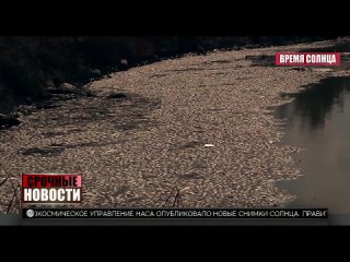 video после тьмы официальный русский трейлер 2022 sex