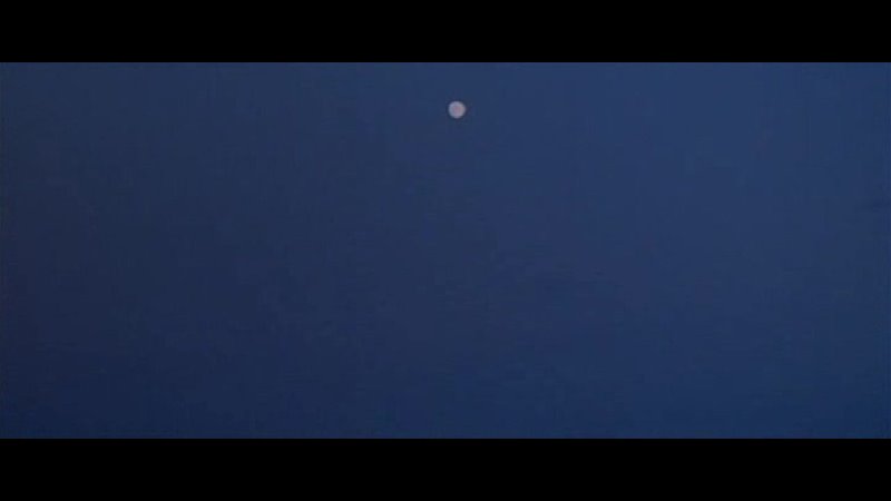 video щупальца 1977 ужасы фантастика боевик триллер комедия приключения италия sex