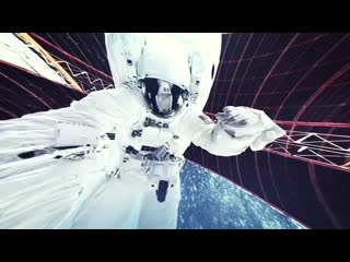 video полет шмеля расскажем зачем ученые прикрепляют к насекомым сенсоры и камеры жизнь собачья посмотрим как на заводе sex