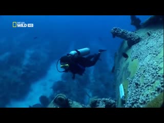 video с точки зрения науки морская бездна последний рубеж документальный фильм nat sex
