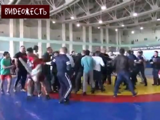 video как проходят соревнования в чечне видеожесть sex