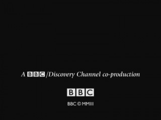 video bbc леонардо да винчи человек который хотел знать всё sex