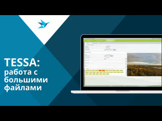 video работа с большими файлами в сэд tessa sex