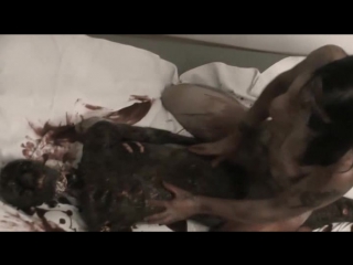 video страсть некрофила necrophile passion 2013 sex