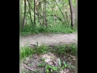 video старый эксгибиционист попался в лесном массиве новосибирска sex