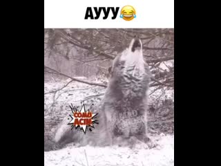 video видео от запретный город костанай рудный лисаковск sex