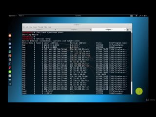 video kali linux для начинающих часть 3 взламываем системы sex