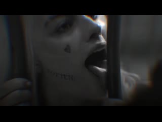 video харли квинн harley quinn хищные птицы birds of prey sex