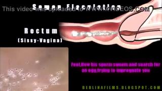 video как достигнуть анальный оргазм обязательно к просмотру sissy shemale trap orgasm cum sex slut sex