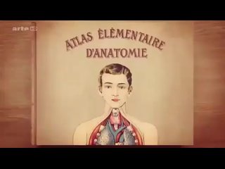 video современная медицина для пластической хирургии женщин sex