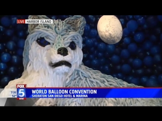 video world balloon convention 2018 san diego sex