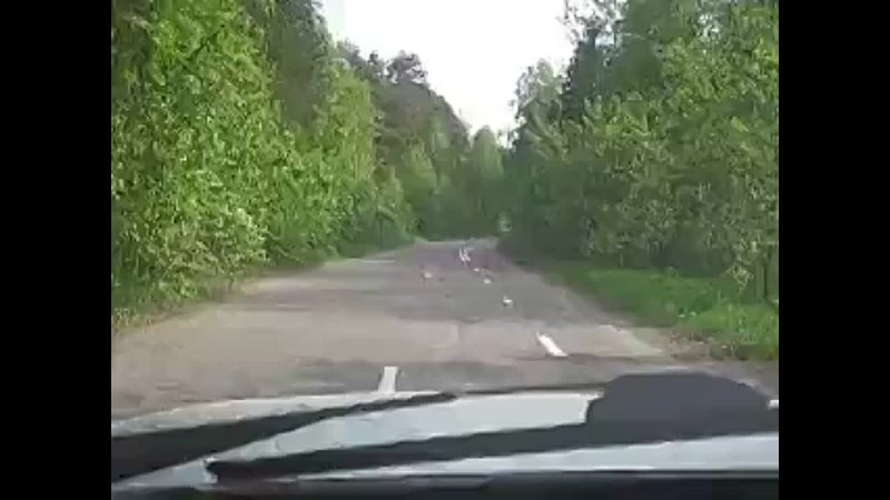video прикольная дорожная разметка sex