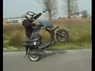 video easy stuntin knockout day sex