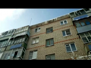 video শউন mov 0092 mp4 sex