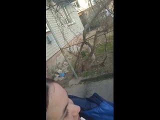 video sunny filestorageemulated0dcimcameravid 20230308 172254 mp4 sex