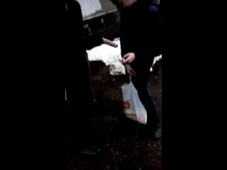 video карлик девственник устал и захотел снять проститутку но она оказалась с подвохом sex