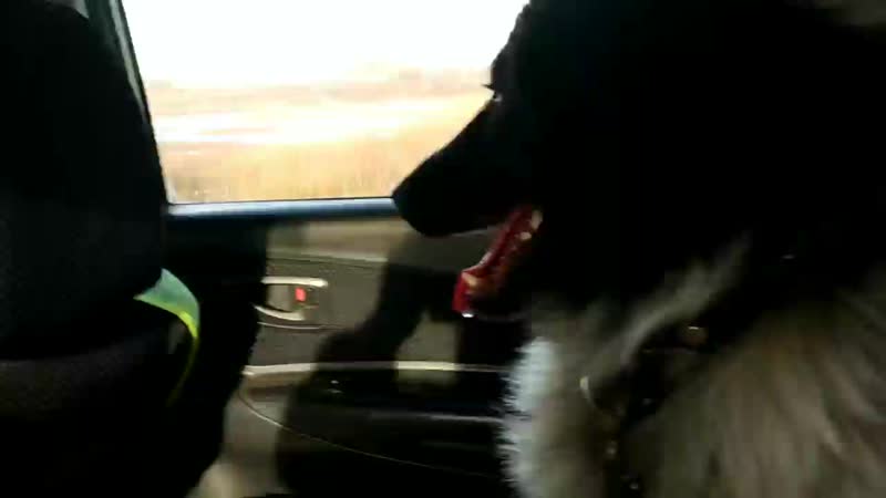 video smoking vid 20210226 095205 mp4 sex