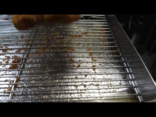 video 20 햄 더블 치즈 돈까스 40년 전통경양식 ham double cheese pork cutlet korean street food sex