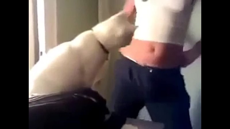 video кот чуть не вставил хозяйке не порноне секс sex