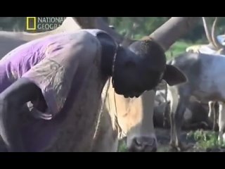 video куни слону чё это за фигня пацаны ягуар водка пиво вино сигареты табак мартини коньяк виски молодые порно секс sex