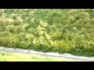 video арбуз транс едим на камазе в красноярск затяжной подъем kz 08 регион sex