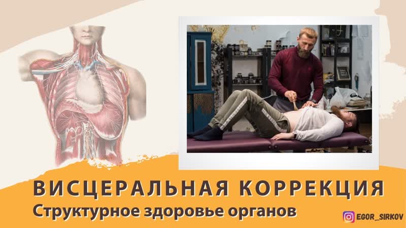 video висцеральная коррекция структурное здоровье органов sex