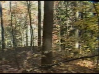 video я плюю на ваши могилы 2 дикая месть реж дональд фармер сша 1993 г sex