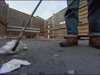 video кёльн самый большой бордель в мире паша sex