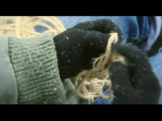 video луиза габриэла бровина в фильме белое платье sex
