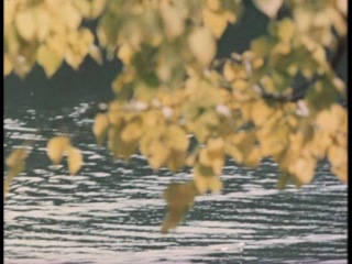 video фильм место встречи изменить нельзя серия 3 sex