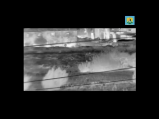 video русские снайперы снимают бармалеев игил ирак ссо сирия бои новости война силы специальных операций sex
