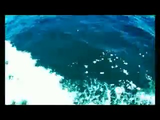 video senin icin askim sex