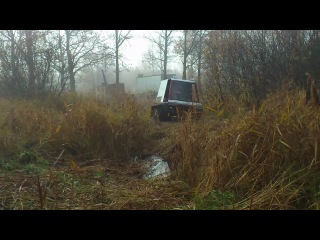 video vintage mov 0074 sex