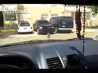 video молодые во время секса sex
