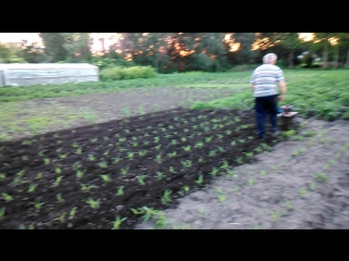 video very mov 0154 sex