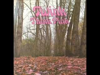 video twink ten thousand words in a cardboard box from think pink 1970 music for a mind and the body sex