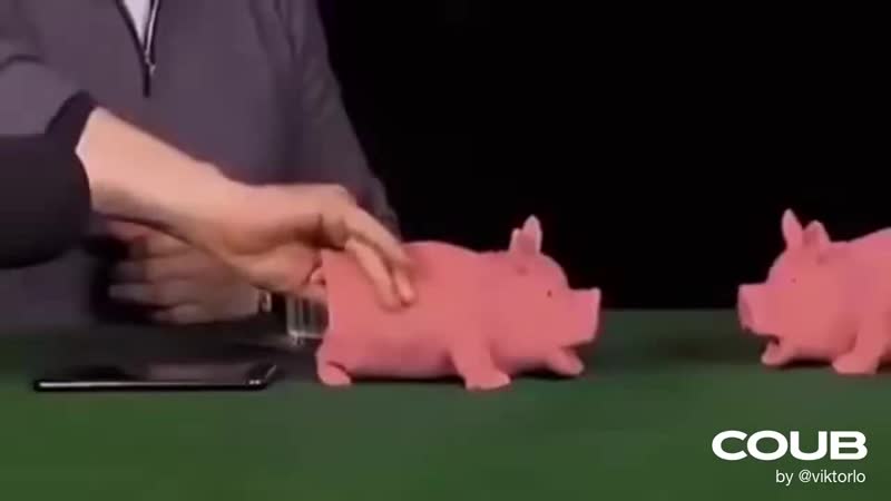 video гоблин и жуков развлекаются со свиньями версия под в пещере горного короля грига sex