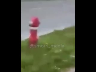 video италия невменяемая украинская заробитчанка накинулась на русских девушек в италии 02 04 2022 sex