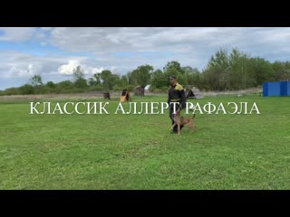 video классик аллерт рафаэла тренироа норматива bh sex