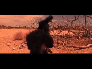 video malice in lalaland sasha grey phoenix marie kagney linn karter sadie west sex