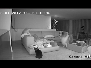 video ночные паранормальные явления и молодые взлом камеры sex