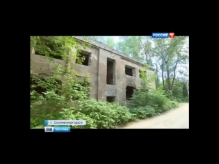 video избиение и молодые школьницы 18 лет солнечногорск июнь унижение пытки киселева sex