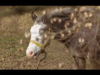 video порнуха порево секс трахаются жарево анал сперма сосать минет sex