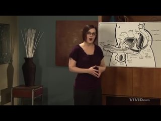 video экспертный путеводитель по минету часть 1 sex