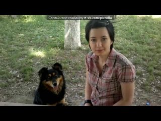 video чернівці под музыку лісапетний батальйон секс бомби picrolla sex