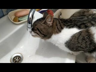 video shat vid 20211028 061119 mp4 sex