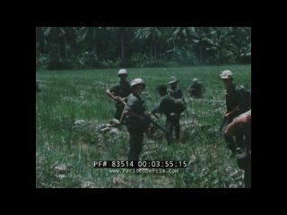 video vietnam war dailies jungle patrol recon mission vietnamese prisoner interrogation sex