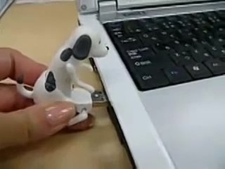 video трахни реальность молодые флешка sex