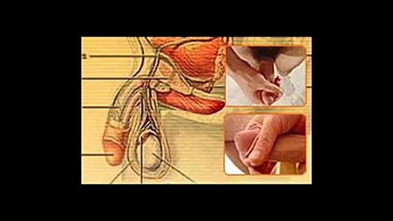 video упражнения для увеличения мужского члена sex