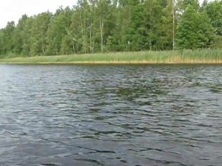 video огромная страшная ужасная анаконда sex